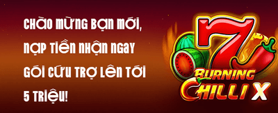 Ưu Đãi VIP Đặc Biệt