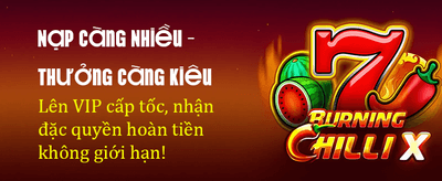 KJC Casino Premium Experience